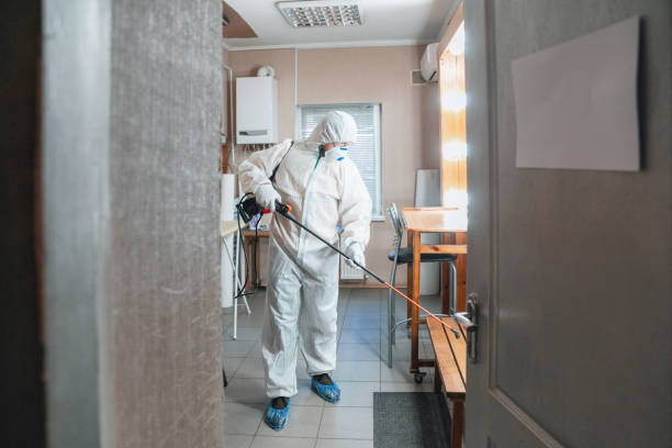 Best Mold Remediation for Healthcare Facilities  in Cabot, AR