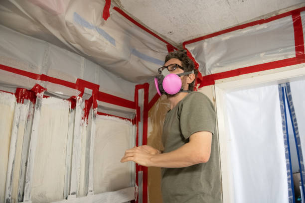 Best Mold Odor Removal Services  in Cabot, AR